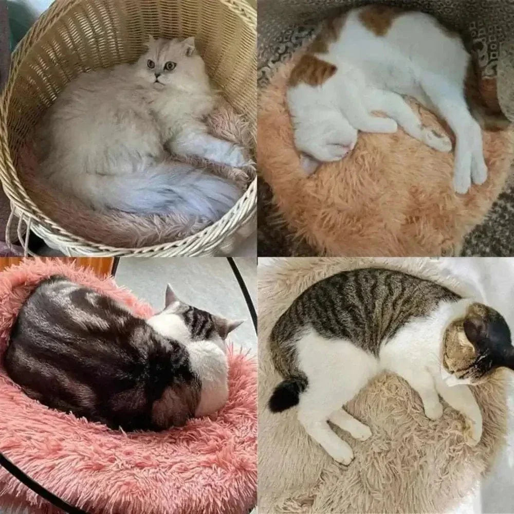 Coussin Rond pour Chat 47 ou 57cm Ultra Doux - Nid Apaisant Anti-Stress 6 Coloris | Miaou&Co