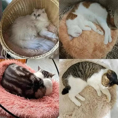 Coussin Rond pour Chat 47 ou 57cm Ultra Doux - Nid Apaisant Anti-Stress 6 Coloris | Miaou&Co