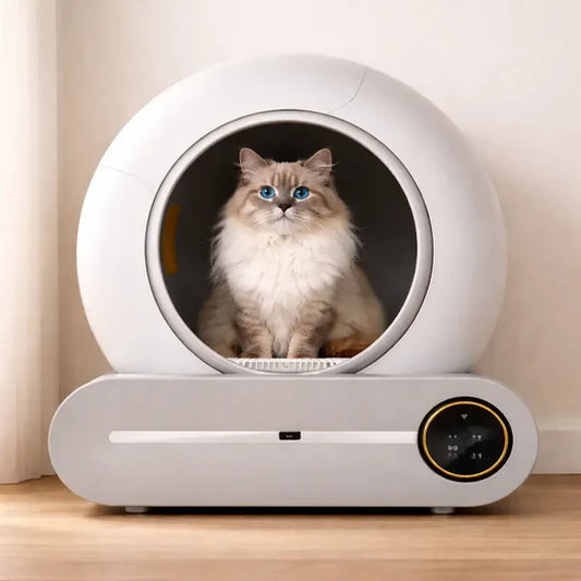 Litière Autonettoyante pour Chat Anti-Odeur - Bac Fermé avec Nettoyage Automatique | Miaou&Co