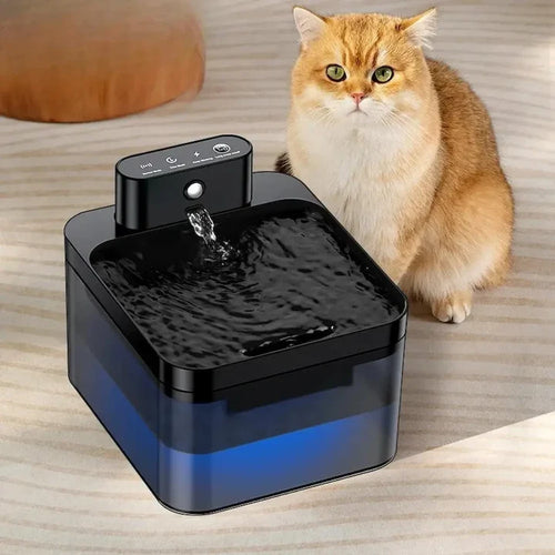 Miaou & co® - Fontaine à eau chat sans fil