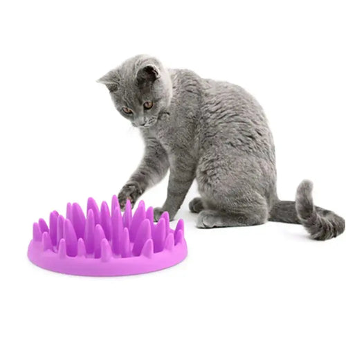 Gamelle Anti-Glouton Antidérapante pour Chat en Plastique - Base Stable Repas Ralentis | Miaou&Co