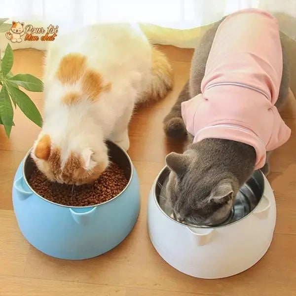 Gamelle Inclinée Ergonomique pour Chat 200 à 800ml - Posture Confortable et Digestion | Miaou&Co