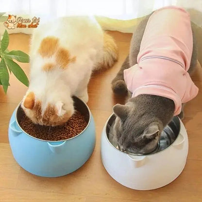 Gamelle Inclinée Ergonomique pour Chat 200 à 800ml - Posture Confortable et Digestion | Miaou&Co