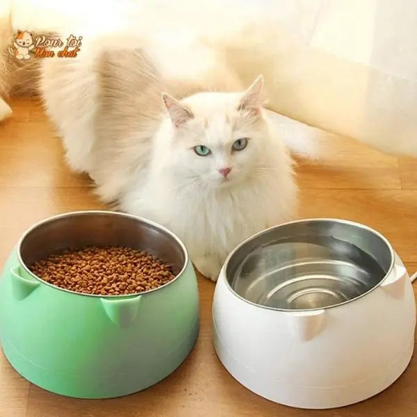 Gamelle Inclinée Ergonomique pour Chat 200 à 800ml - Posture Confortable et Digestion | Miaou&Co