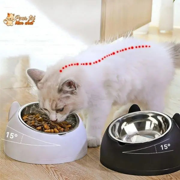 Gamelle Inclinée Ergonomique pour Chat 200 à 800ml - Posture Confortable et Digestion | Miaou&Co