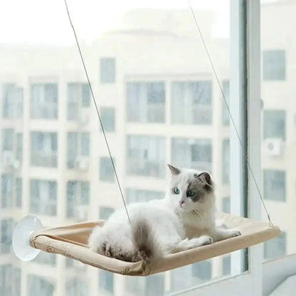 Hamac de Fenêtre pour Chat 35x55cm à Ventouses - Observatoire Ensoleillé sans Perçage | Miaou&Co