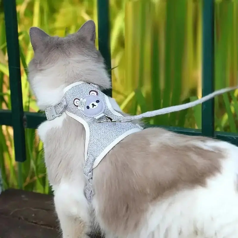 Harnais pour Chaton Ajustable 2 Coloris Pastel - Premières Balades Sécurisées | Miaou&Co
