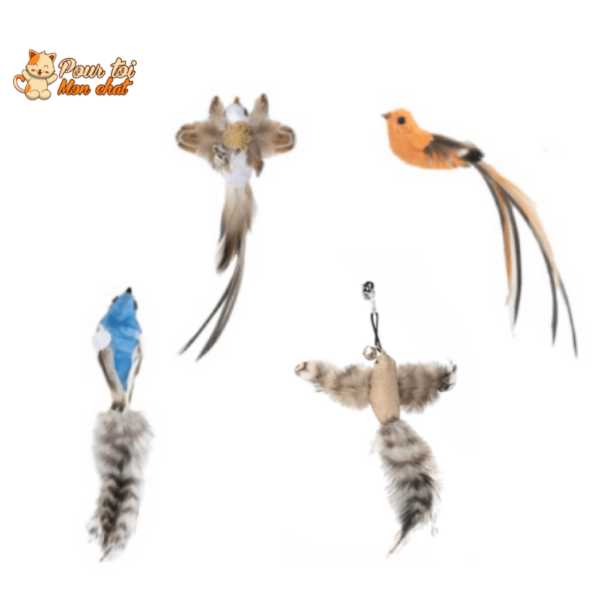 Jouet Interactif à Ventouse pour Chat Simulation Oiseau - Plumes Amovibles 4 Modèles | Miaou&Co