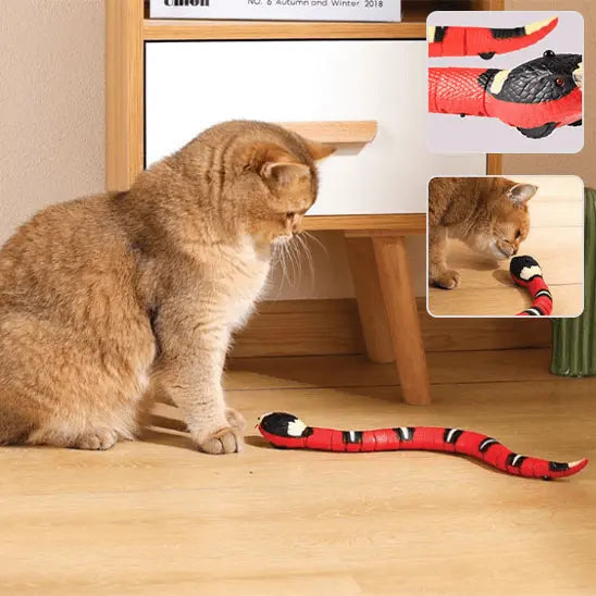 Jouet Serpent Interactif pour Chat Rechargeable USB - Mouvement Réaliste Anti-Ennui | Miaou&Co