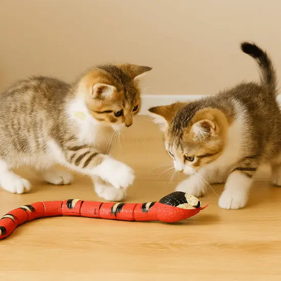 Jouet Serpent Interactif pour Chat Rechargeable USB - Mouvement Réaliste Anti-Ennui | Miaou&Co