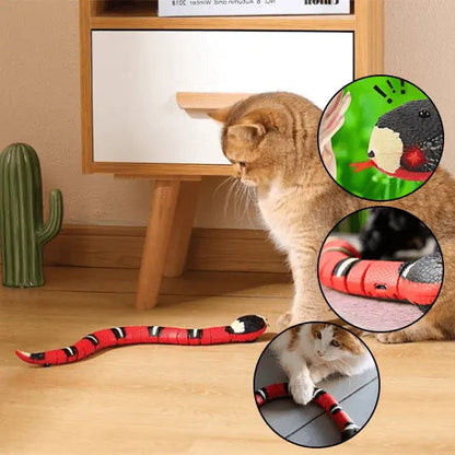 Jouet Serpent Interactif pour Chat Rechargeable USB - Mouvement Réaliste Anti-Ennui | Miaou&Co