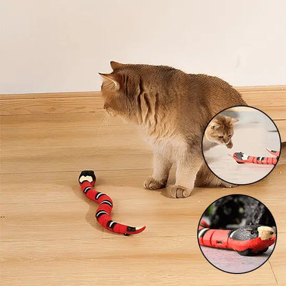 Jouet Serpent Interactif pour Chat Rechargeable USB - Mouvement Réaliste Anti-Ennui | Miaou&Co