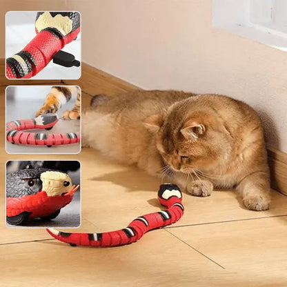 Jouet Serpent Interactif pour Chat Rechargeable USB - Mouvement Réaliste Anti-Ennui | Miaou&Co