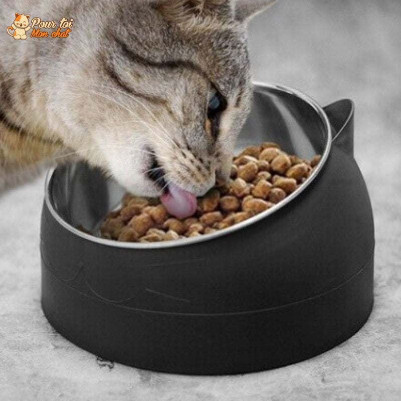 Gamelle Inclinée Ergonomique pour Chat 200 à 800ml - Posture Confortable et Digestion | Miaou&Co
