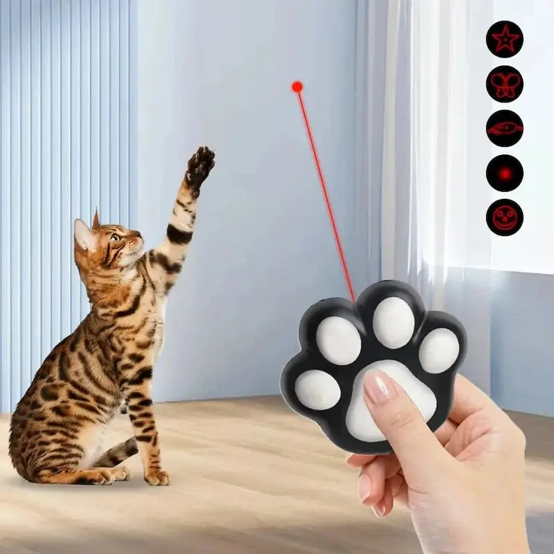 Mini Laser pour Chat 5 Motifs Lumineux Réglables - Jeu Instinctif Anti-Ennui | Miaou&Co