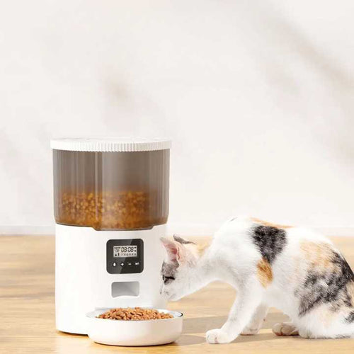 Distributeur Intelligent de Nourriture pour Chat - Programmation Repas et Portions Contrôlées | Miaou&Co
