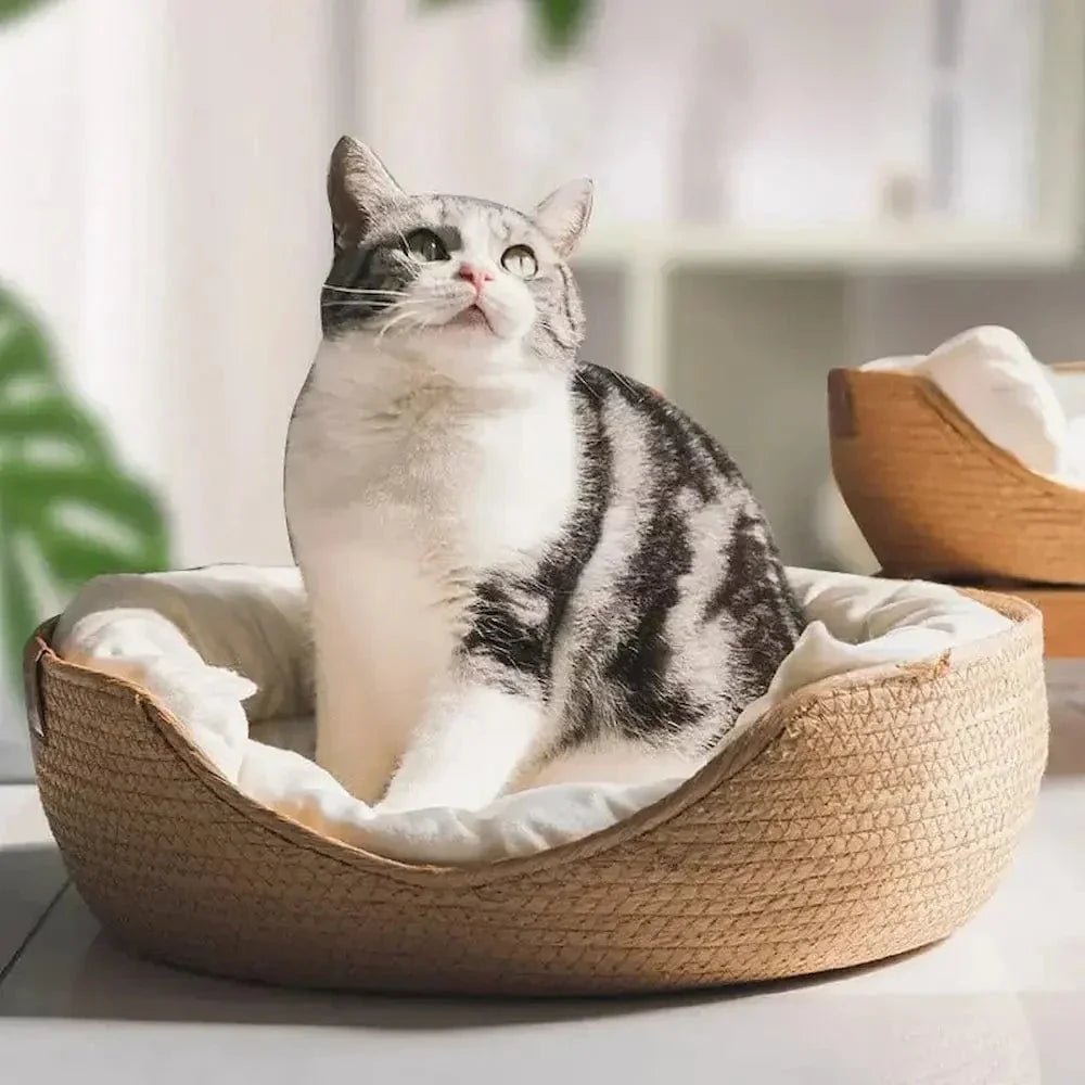 Panier pour Chat en Bambou Naturel 3 Tailles 32 à 45cm - Couchage Confortable et Robuste | Miaou&Co