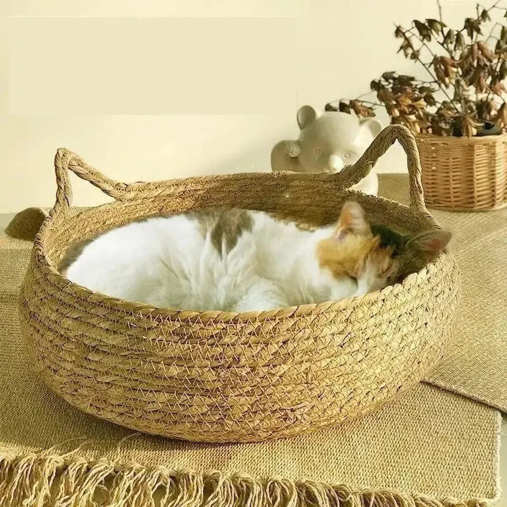 Panier en Osier pour Chat 45cm en Corde de Papier Tressée - Coussin Peluche Inclus | Miaou&Co