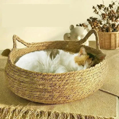 Panier en Osier pour Chat 45cm en Corde de Papier Tressée - Coussin Peluche Inclus | Miaou&Co