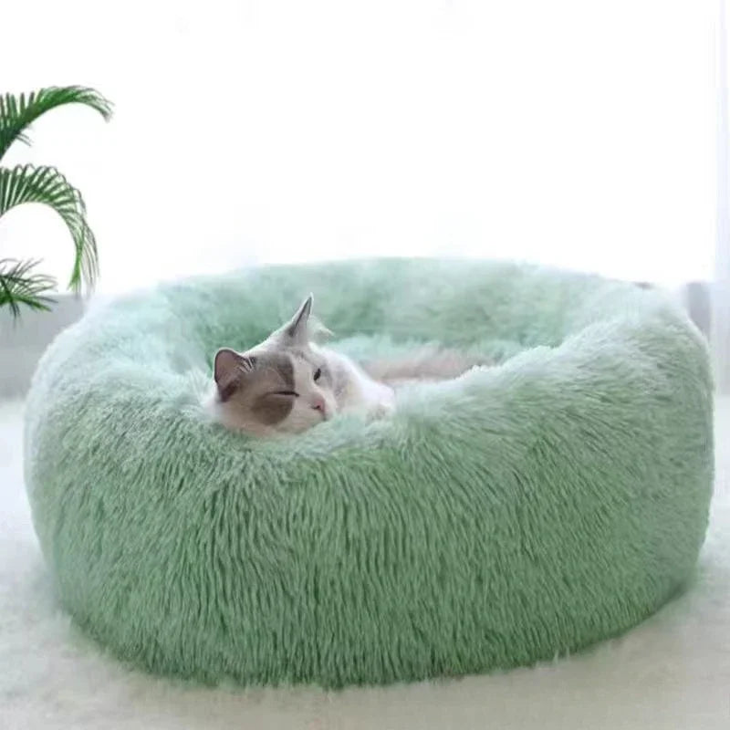 Coussin Apaisant pour Chat Ultra Doux - Couchage Moelleux Anti-Anxiété pour Sommeil | Miaou&Co