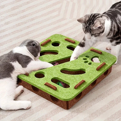 Jeu Interactif Chasse aux Balles pour Chat - Stimulation Mentale 2 Formes au Choix | Miaou&Co