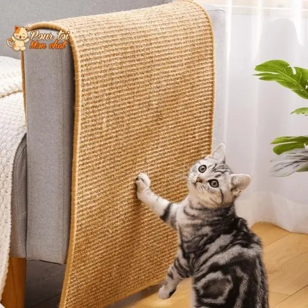 Tapis Grattoir Couvre-Meubles pour Chat 4 Tailles 30x40 à 60x90cm - Protège Canapé | Miaou&Co