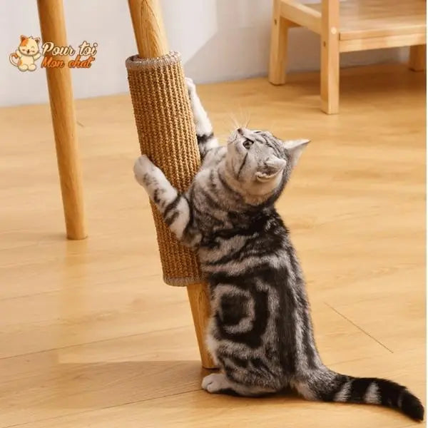 Tapis Grattoir Couvre-Meubles pour Chat 4 Tailles 30x40 à 60x90cm - Protège Canapé | Miaou&Co