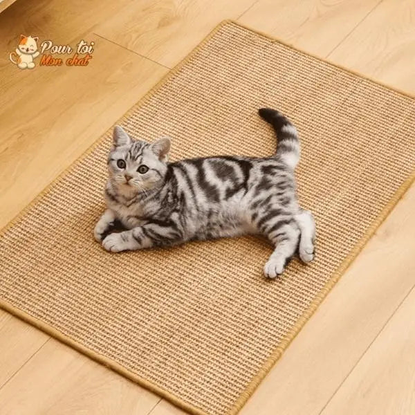 Tapis Grattoir Couvre-Meubles pour Chat 4 Tailles 30x40 à 60x90cm - Protège Canapé | Miaou&Co