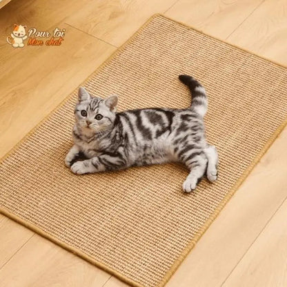 Tapis Grattoir Couvre-Meubles pour Chat 4 Tailles 30x40 à 60x90cm - Protège Canapé | Miaou&Co