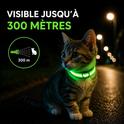 Collier Lumineux LED pour Chat 4 Tailles XS à L - Visibilité Nocturne Sorties Sécurisées | Miaou&Co