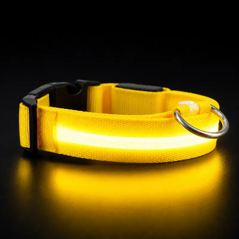 Collier Lumineux LED pour Chat 4 Tailles XS à L - Visibilité Nocturne Sorties Sécurisées | Miaou&Co