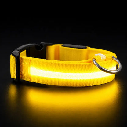 Collier Lumineux LED pour Chat 4 Tailles XS à L - Visibilité Nocturne Sorties Sécurisées | Miaou&Co