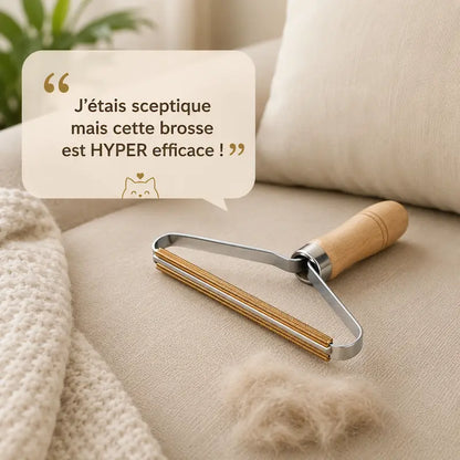 Brosse Anti-Poils de Chat pour Textiles et Canapé - Élimine 90% des Poils sur Tissus | Miaou&Co