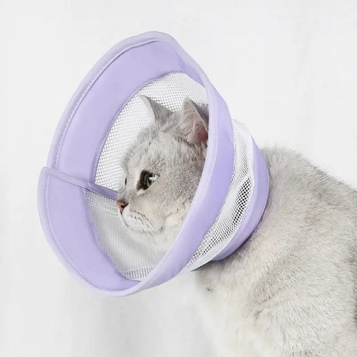 Collerette Anti-Rayures pour Chat en Tissu Respirant 3 Tailles S à L - Post-Opératoire | Miaou&Co
