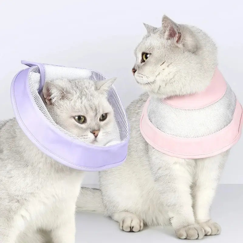 Collerette Anti-Rayures pour Chat en Tissu Respirant 3 Tailles S à L - Post-Opératoire | Miaou&Co