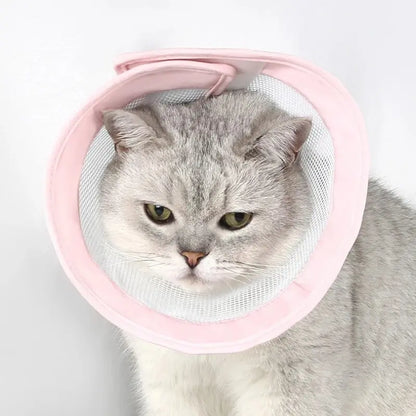 Collerette Anti-Rayures pour Chat en Tissu Respirant 3 Tailles S à L - Post-Opératoire | Miaou&Co