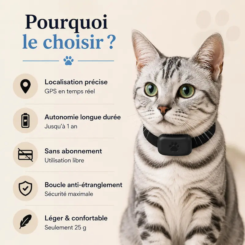 Collier de Localisation GPS pour Chat sans Abonnement - Suivi Temps Réel Compatible iOS | Miaou&Co