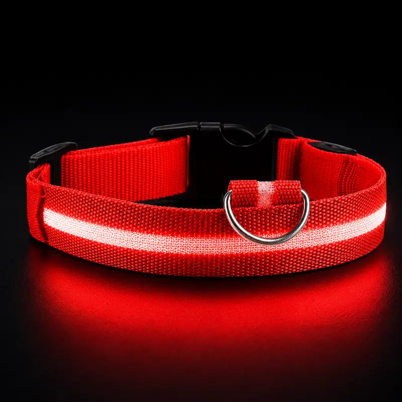 Collier Lumineux LED pour Chat 4 Tailles XS à L - Visibilité Nocturne Sorties Sécurisées | Miaou&Co