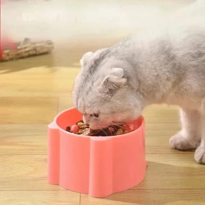 Gamelle Anti-Glouton Surélevée pour Chat - Ralentit les Repas et Soulage les Cervicales | Miaou&Co