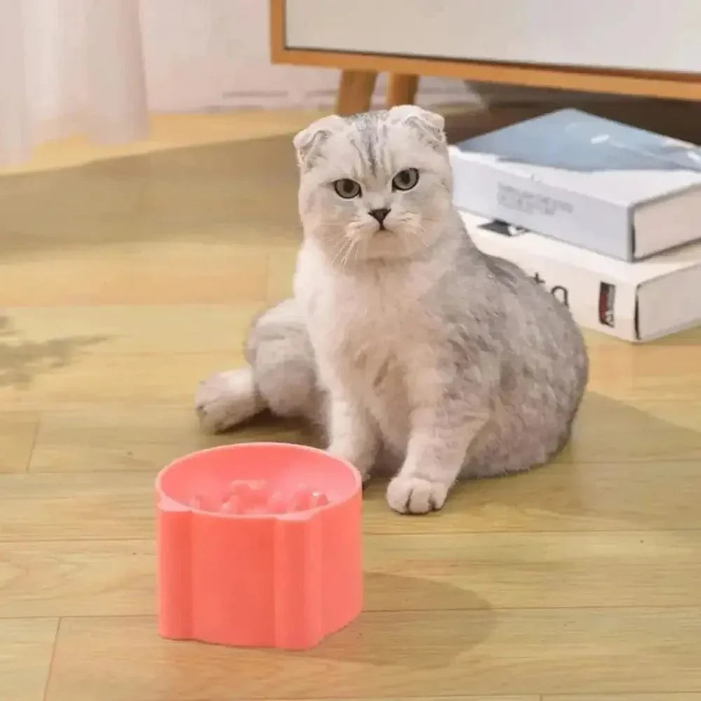 Gamelle Anti-Glouton Surélevée pour Chat - Ralentit les Repas et Soulage les Cervicales | Miaou&Co