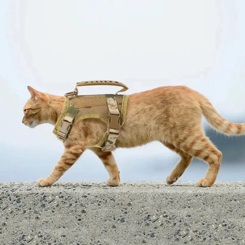 Harnais Tactique Robuste pour Chat Anti-Fugue 3 Coloris - Confort Renforcé Extérieur | Miaou&Co