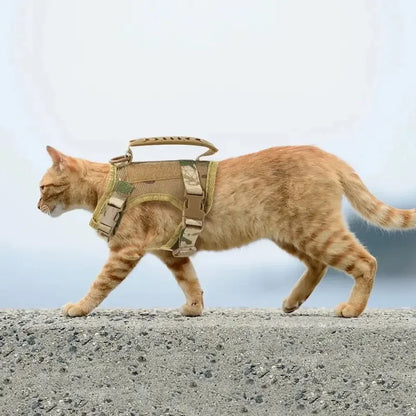 Harnais Tactique Robuste pour Chat Anti-Fugue 3 Coloris - Confort Renforcé Extérieur | Miaou&Co