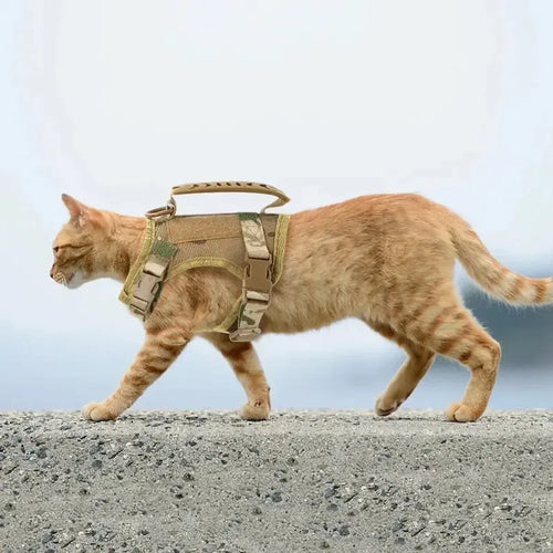 Harnais Tactique Robuste pour Chat Anti-Fugue 3 Coloris - Confort Renforcé Extérieur | Miaou&Co