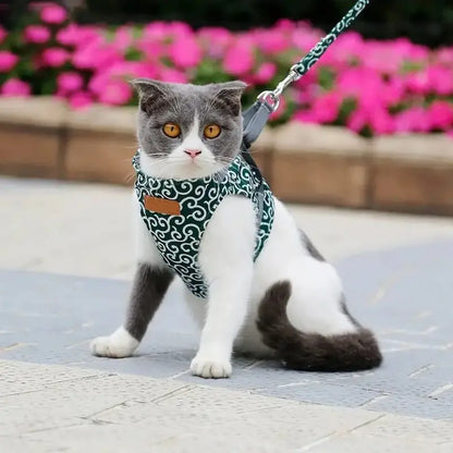 Harnais Veste pour Chat Anti-Fugue 4 Tailles XS à L - Confort Enveloppant pour Balades | Miaou&Co