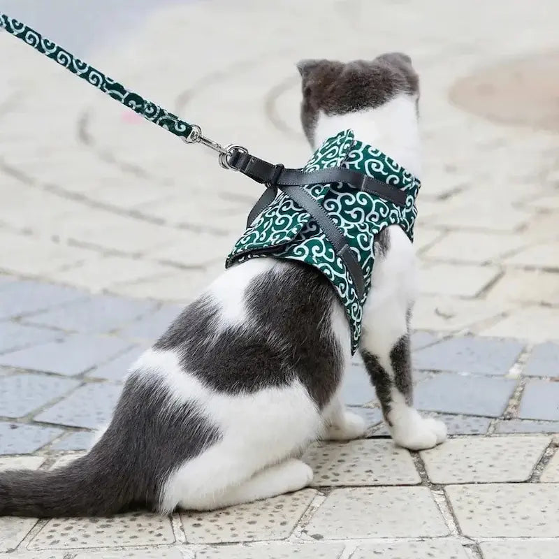Harnais Veste pour Chat Anti-Fugue 4 Tailles XS à L - Confort Enveloppant pour Balades | Miaou&Co