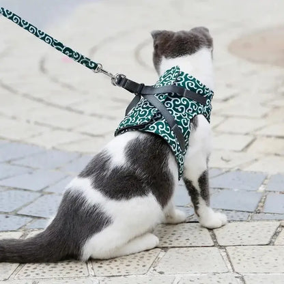 Harnais Veste pour Chat Anti-Fugue 4 Tailles XS à L - Confort Enveloppant pour Balades | Miaou&Co