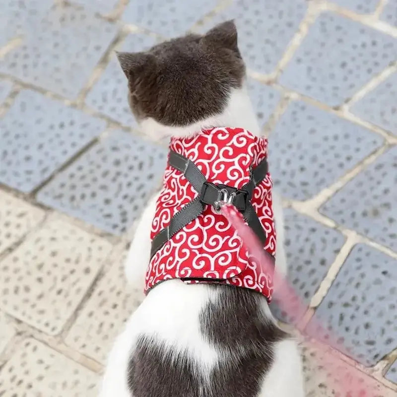 Harnais Veste pour Chat Anti-Fugue 4 Tailles XS à L - Confort Enveloppant pour Balades | Miaou&Co