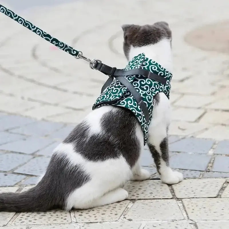 Harnais Veste pour Chat Anti-Fugue 4 Tailles XS à L - Confort Enveloppant pour Balades | Miaou&Co