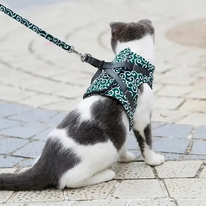 Harnais Veste pour Chat Anti-Fugue 4 Tailles XS à L - Confort Enveloppant pour Balades | Miaou&Co