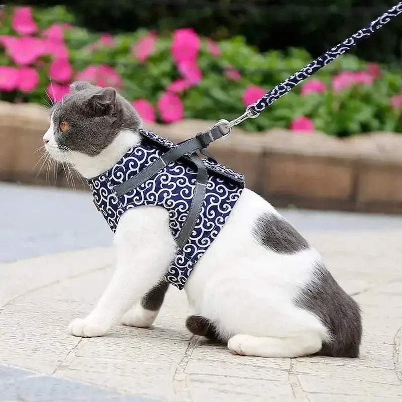 Harnais Veste pour Chat Anti-Fugue 4 Tailles XS à L - Confort Enveloppant pour Balades | Miaou&Co